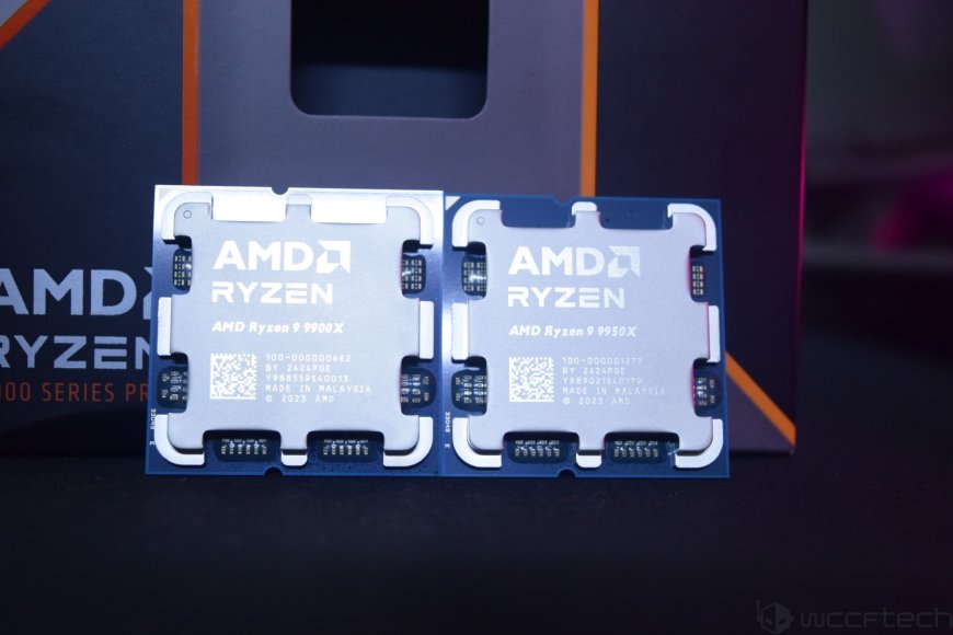 AMD Ryzen 9 9950X & Ryzen 9 9900X CPUs Review: Zen 5 For High-End Desktops