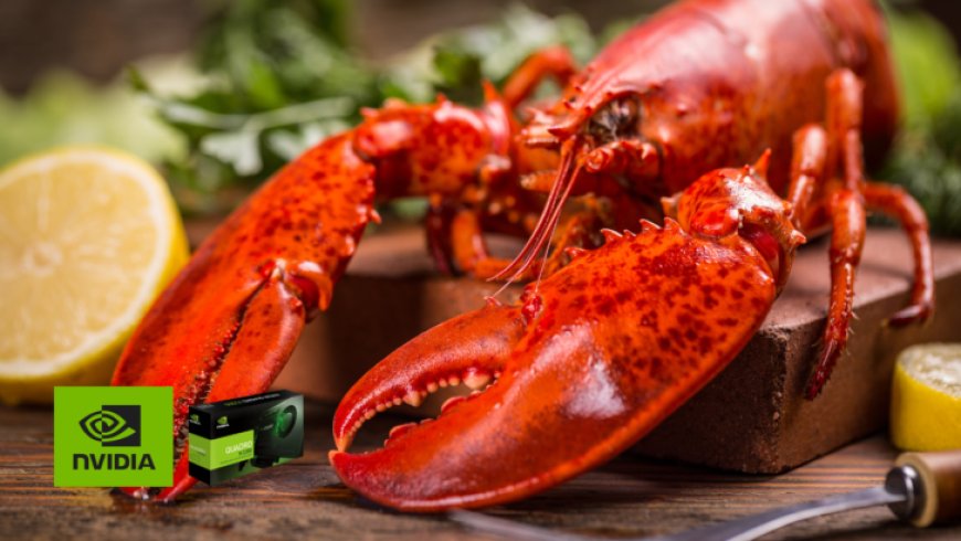 70 NVIDIA Quadro GPUs Attempted To Be Smuggled Among Live Lobsters in China