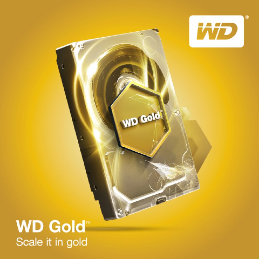 The Western Digital WD Gold 18 TB HDD Starts Selling on Span.com!