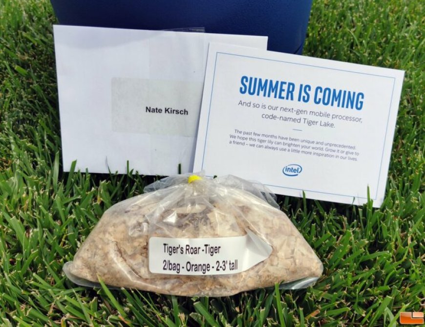 The Tiger Roars! Intel’s Next Gen 10nm Tiger Lake CPU Family All Set For Summer 2020 Launch, Reveals First Marketing Kit