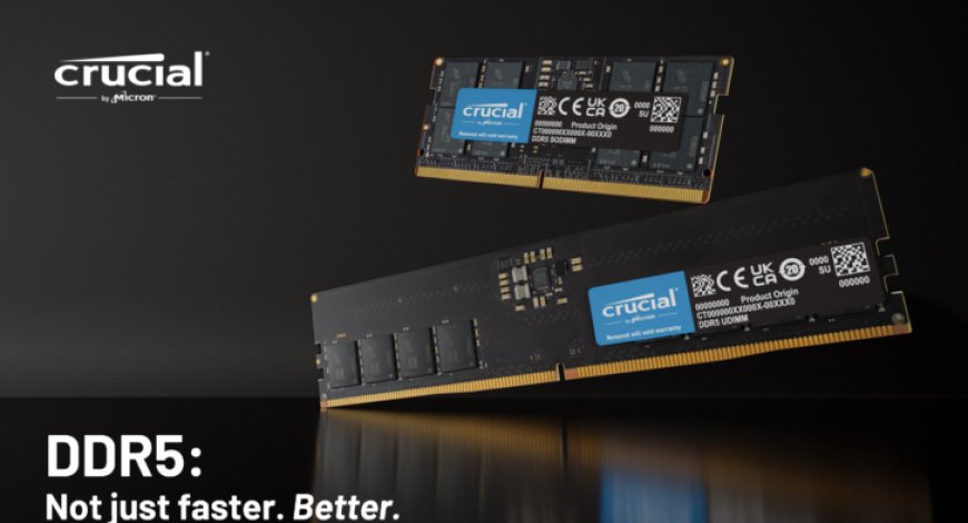 Crucial Now Has 24 GB & 48 GB DDR5 Memory Options For Desktop & Laptop PCs