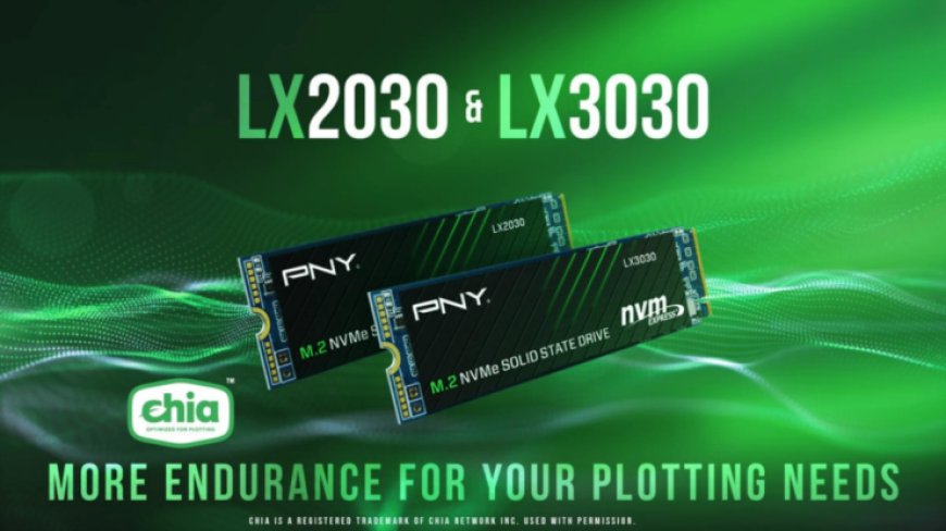 PNY Launches Its LX2030 & LX3030 M.2 NVMe Gen 3 SSDs, Certified For Chia (XCH) Plotting