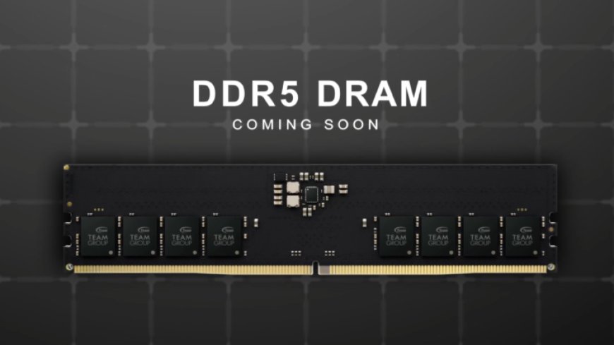 TeamGroup Unveils DDR5 Elite Series 16 GB 4800 MHz Memory Modules, Also Launches 256 GB XTREEM ARGB DDR4 Memory Kits