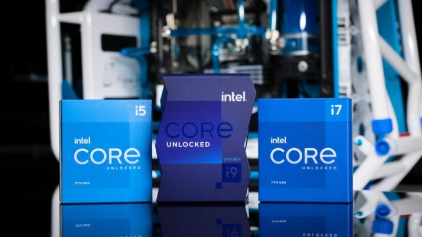 Intel Rocket Lake Core i9-11900K & Core i5-11600K CPUs Land on Silicon Lottery, Pre-Binned 8 Core With 5.1 GHz All-Core OC For $879 US